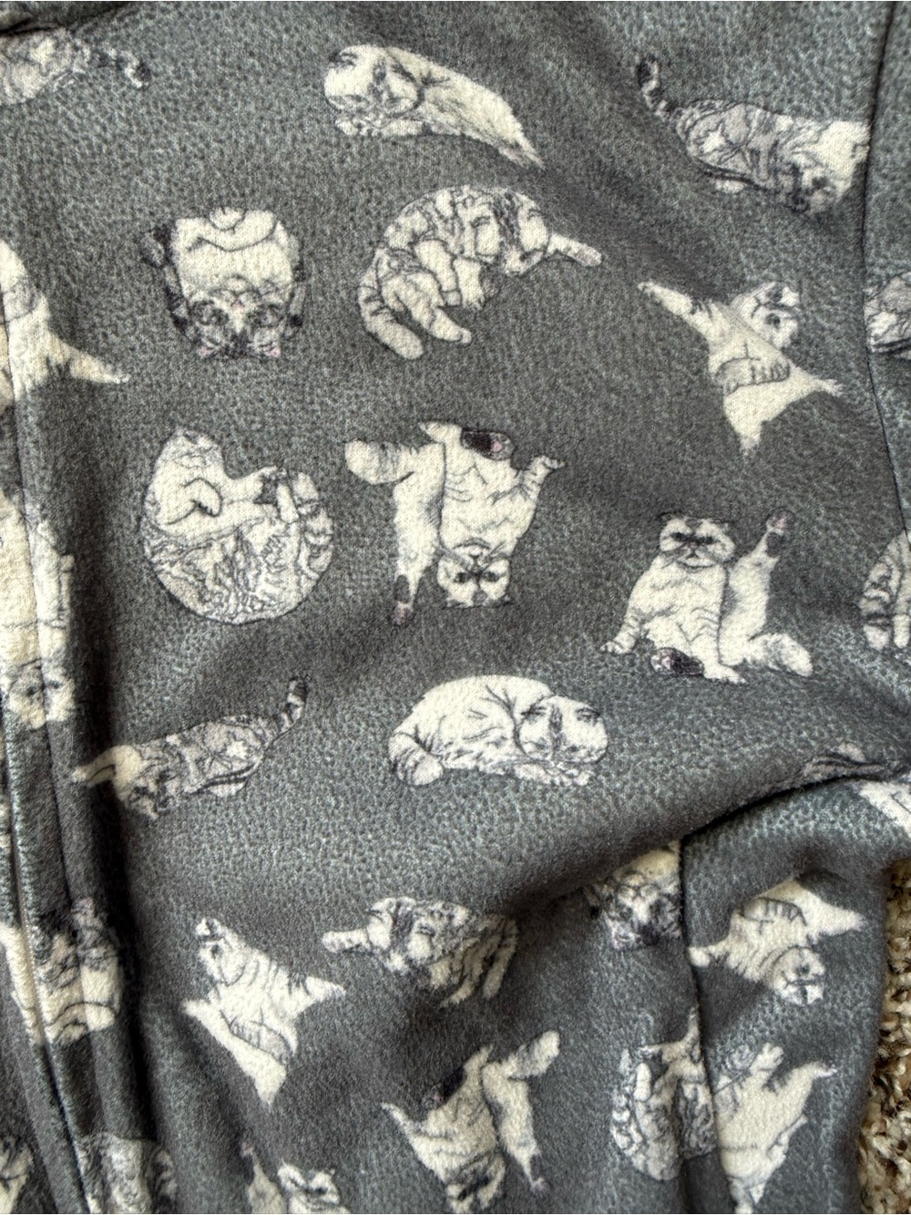 Taylor Swift Cat Onesie - Picture 3 of 4